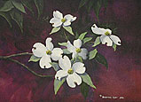 Dogwood Blossoms