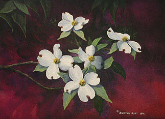 Dogwood Blossoms