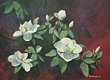 Magnolia Blossoms