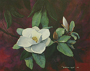 Southern Magnolia