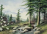 Woodland Cascades
