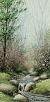 Woodland Stream I